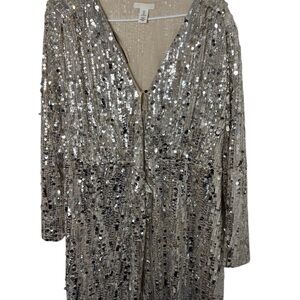 Silver Sequin V-Neck Dress H&M Size Large